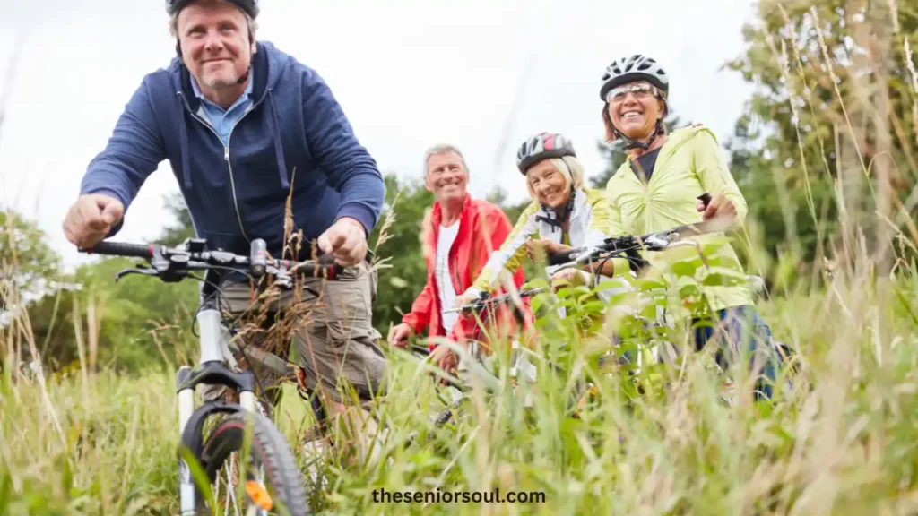 Exercise Bikes for Seniors